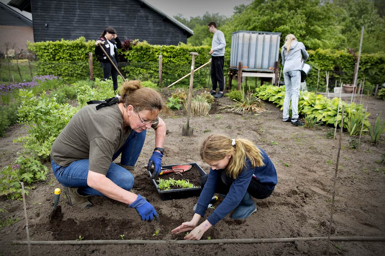Vijf mensen zijn in de tuin aan het werk. Een vrouw en een meisje planten stekjes. Een meisje geeft de plantjes water. Verderop wordt er geschoffeld.