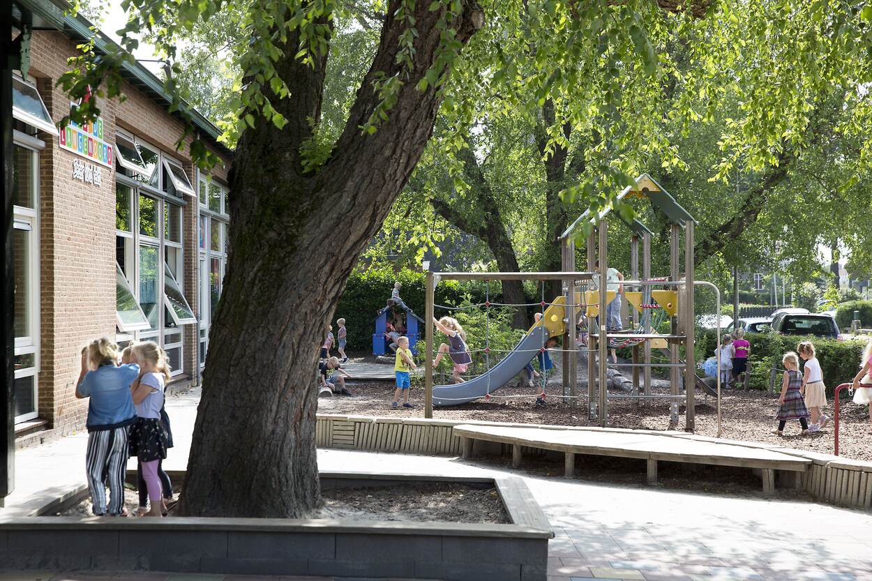 Onder de bomen op het schoolplein zijn kinderen aan het spelen op een klimrek, een duikelhek en een houten speelhuisje. De zon schijnt.