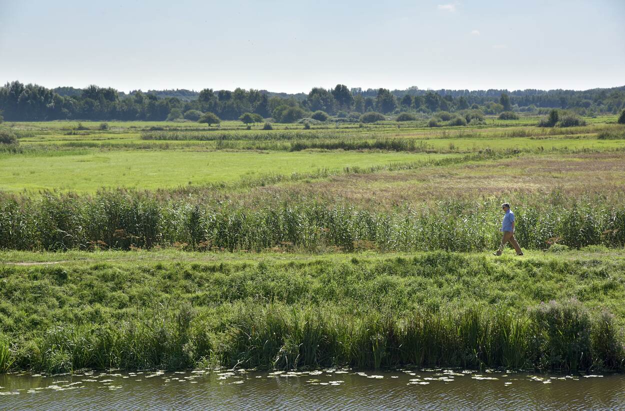 Een foto van een landschap in Den Bosch