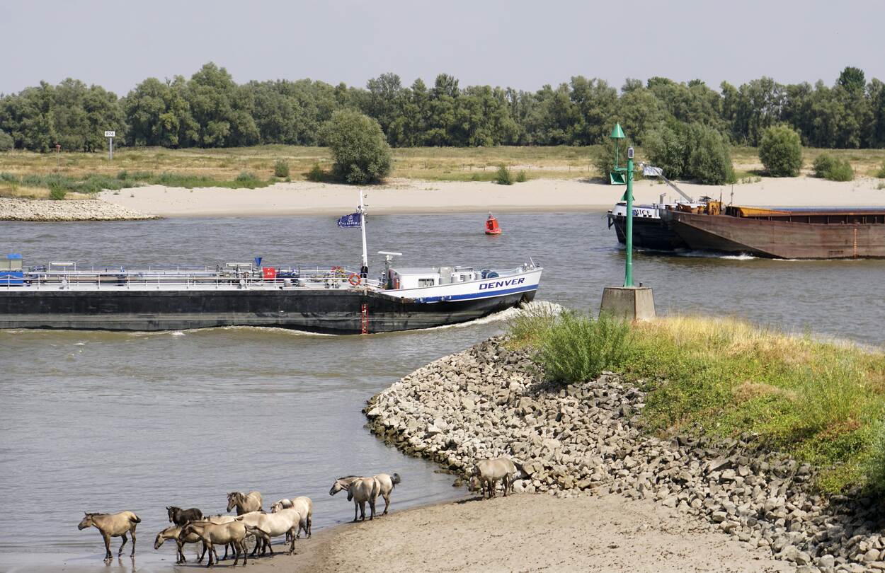 Strand van Nijmegen