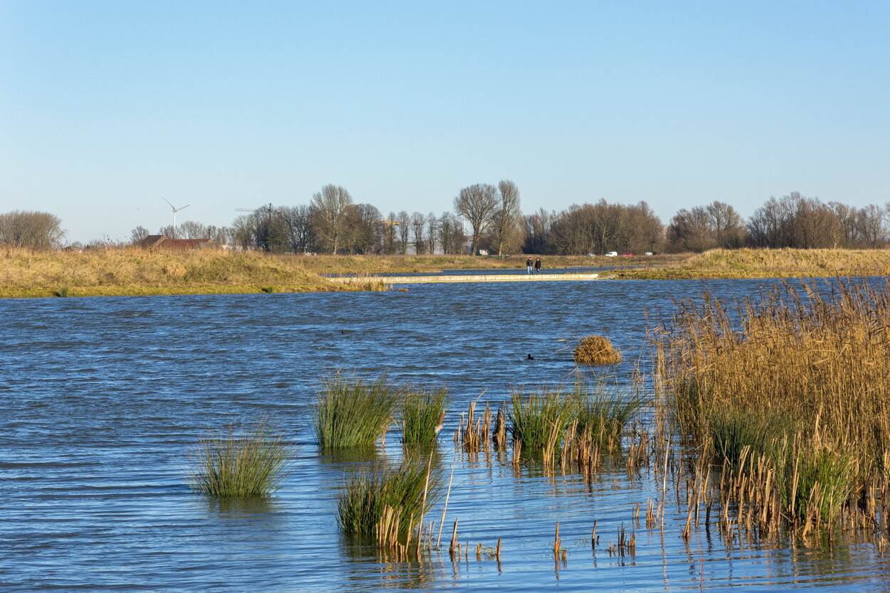 Jeugdzorgregio West-Brabant-Oost