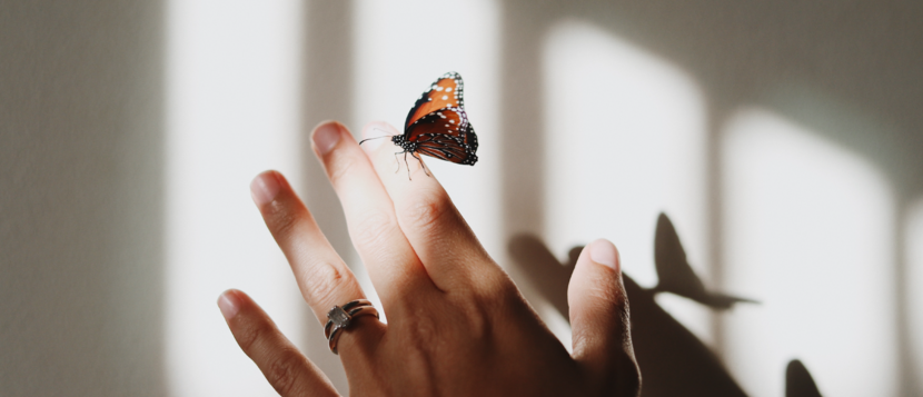Een foto van een vlinder die rust op een vrouwenhand.