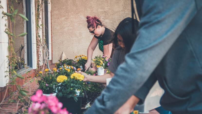 Afbeelding van jongeren die bloemen planten